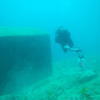 Picture taken during the dive