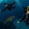 Picture taken during the dive