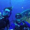 Picture taken during the dive