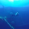 Picture taken during the dive