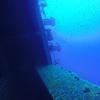 Picture taken during the dive