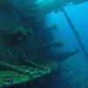 Picture taken during the dive