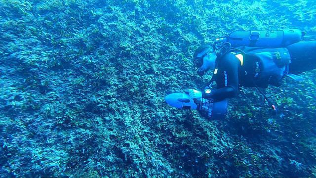 Dawn Diving - Dive Center in Malta
