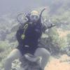 Picture taken during the dive