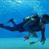 Picture taken during the dive