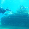 Picture taken during the dive
