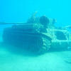 Picture taken during the dive