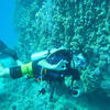 Picture taken during the dive
