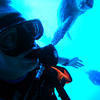 Picture taken during the dive
