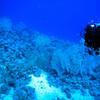 Picture taken during the dive
