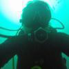 Picture taken during the dive