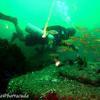 Picture taken during the dive