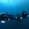 Picture taken during the dive