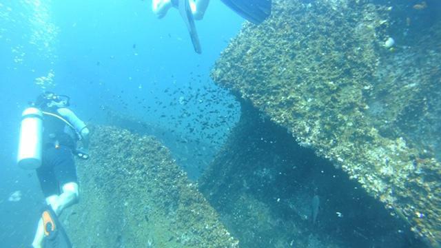 Diving in Sri Lanka, Colombo - By Tom Griffith