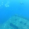 Picture taken during the dive