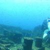 Picture taken during the dive