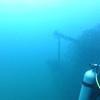 Picture taken during the dive
