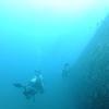 Picture taken during the dive