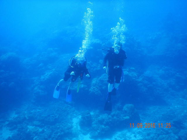 Deep Sea Divers Den - Dive Center in Australia