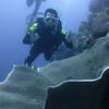 Picture taken during the dive