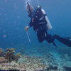 Picture taken during the dive