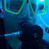 Picture taken during the dive