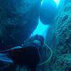 Picture taken during the dive