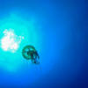 Picture taken during the dive