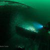 Picture taken during the dive