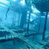 Picture taken during the dive