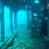 Picture taken during the dive