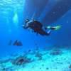 Picture taken during the dive