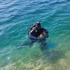 Picture taken during the dive