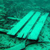 Picture taken during the dive