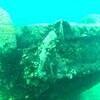 Picture taken during the dive