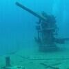 Picture taken during the dive
