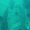 Picture taken during the dive