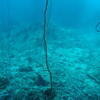 Picture taken during the dive