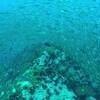 Picture taken during the dive