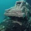 Picture taken during the dive