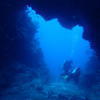Picture taken during the dive