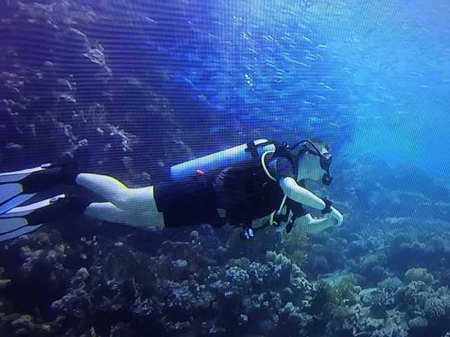 Divers International Sharm El Sheikh - Dive Center in Egypt