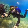 Picture taken during the dive