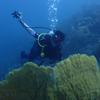 Picture taken during the dive