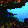 Picture taken during the dive