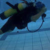 Picture taken during the dive