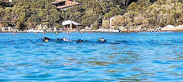 AQUARIUS DIVE CENTER - Dive Center in Italy