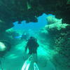Picture taken during the dive