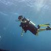 Picture taken during the dive