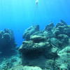 Picture taken during the dive